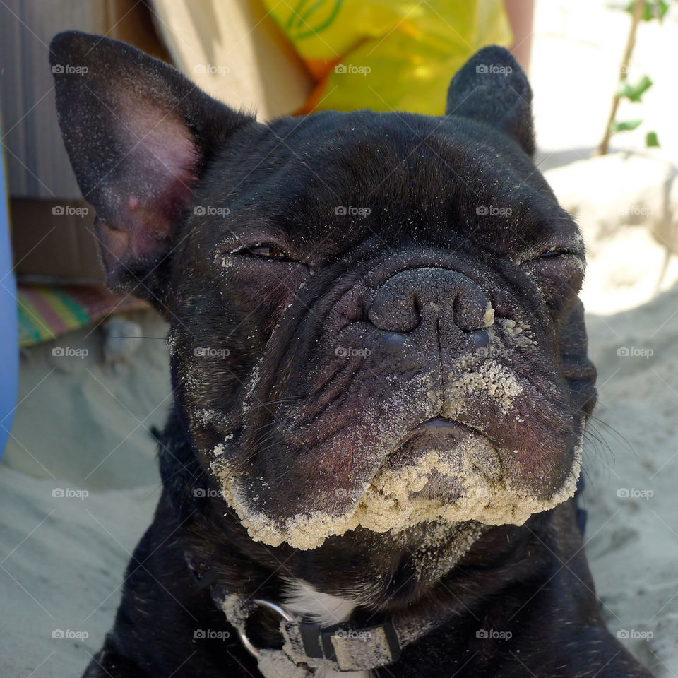 beach face black sun by lenusik