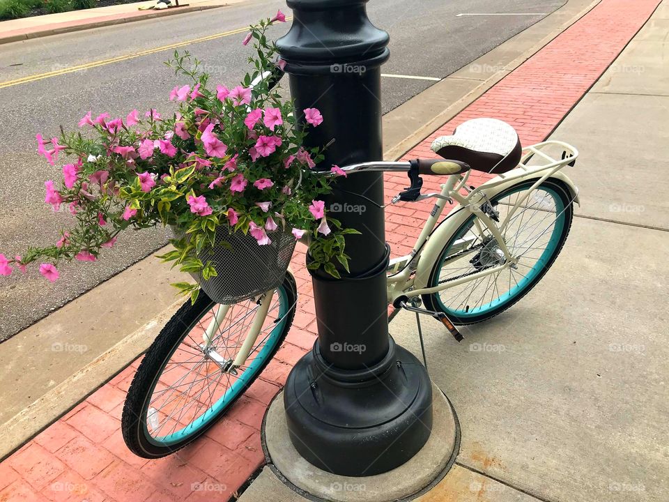 Bicycle and Flower's