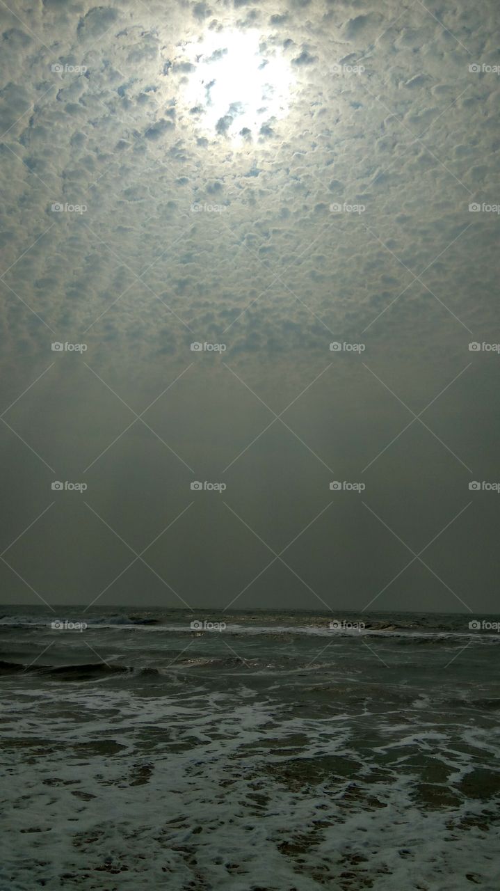 Lovely foggy morning