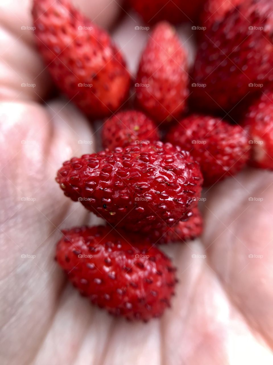 Strawberries