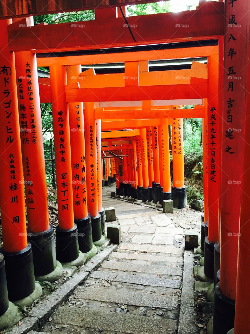 The 10,000 orange gates paving the way up the mountain to the Fushimi Inari shrine 