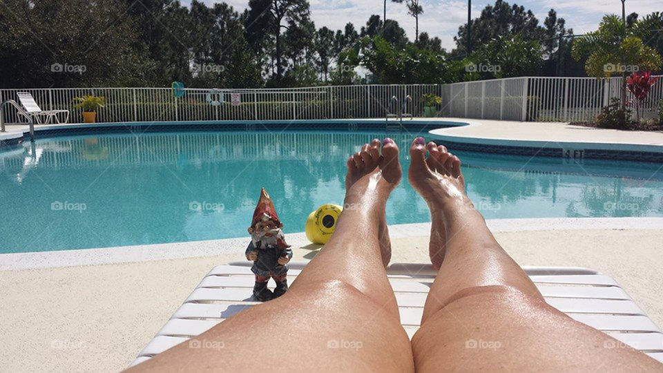 Pool buddy. Traveling Gnome is my pool buddy today