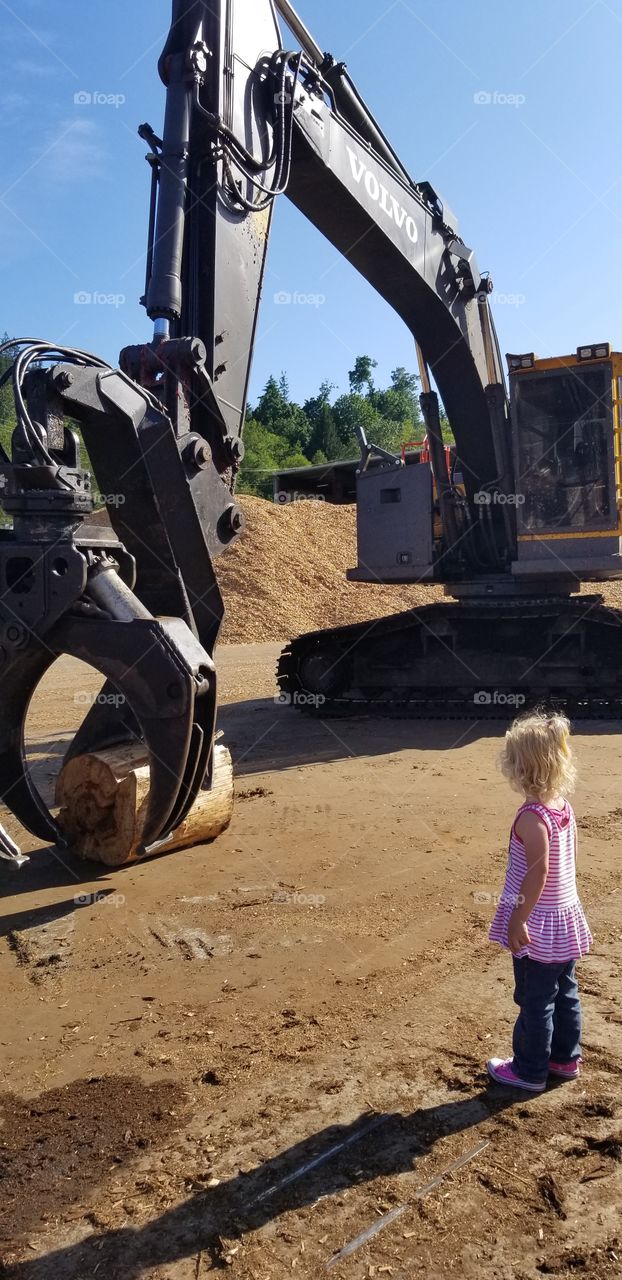 Baby girl loves big diggers