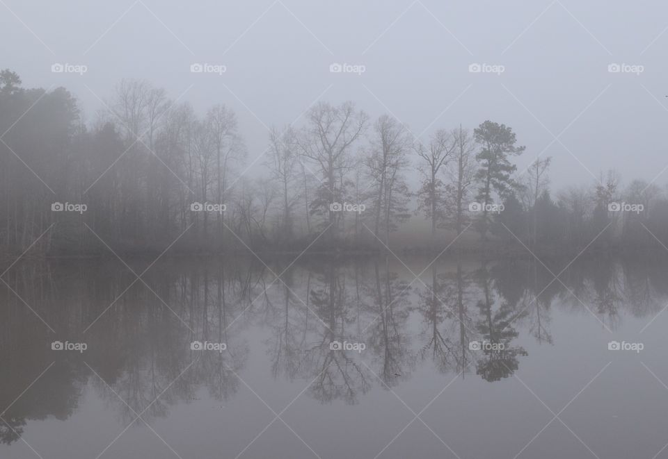 Early morning fog covers the lake in grey.