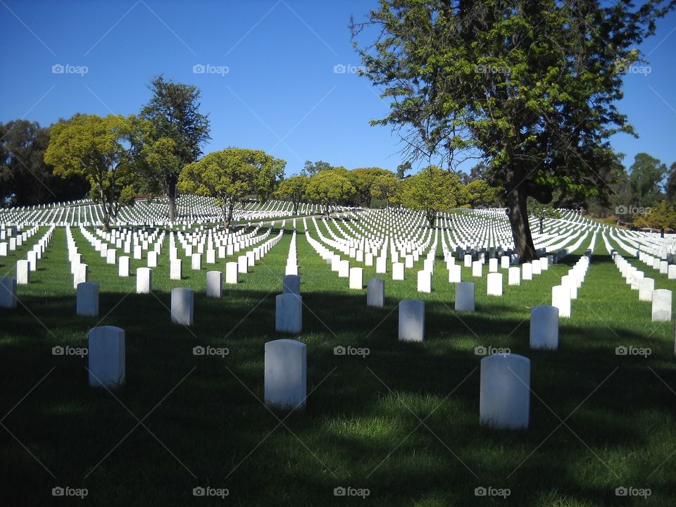 Remembering Our Veterans