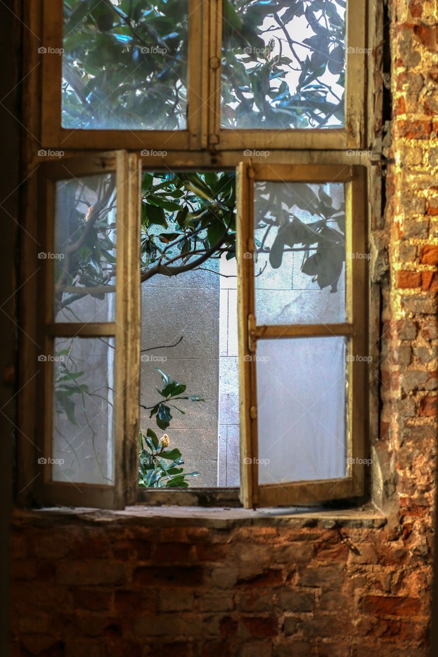 Window of an old building