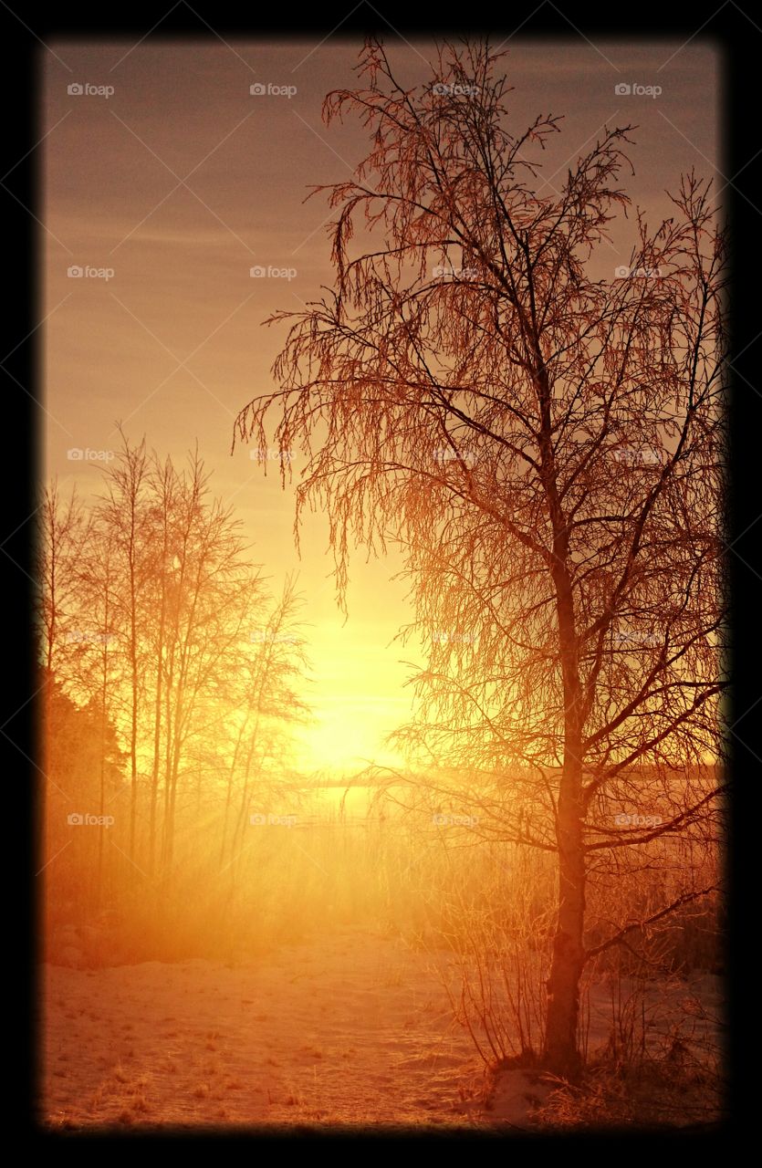 Sunrise . Cold sunrise in Norrbotten 