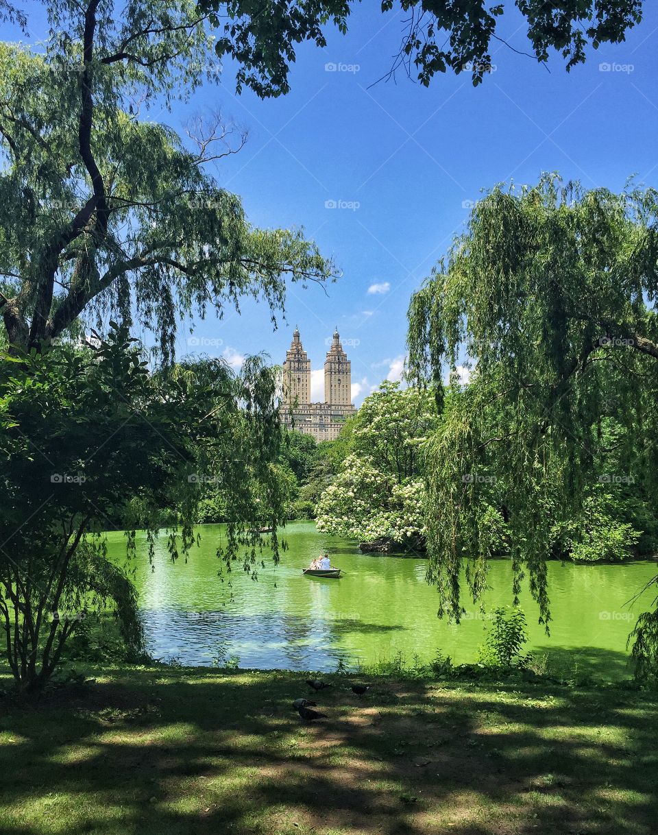 Water bodies near central park