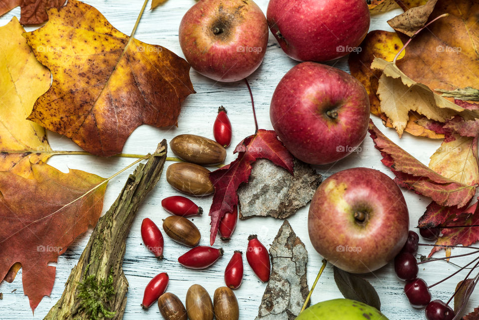 top view on white rustic, wooden background with autumn leaves, fall fruits