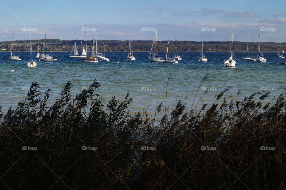 Ammersee