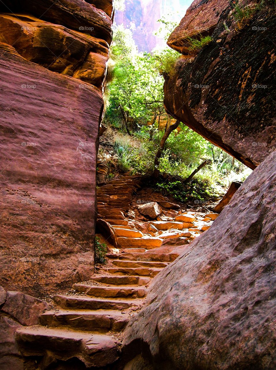 Transition to Lightness. Transition to Lightness