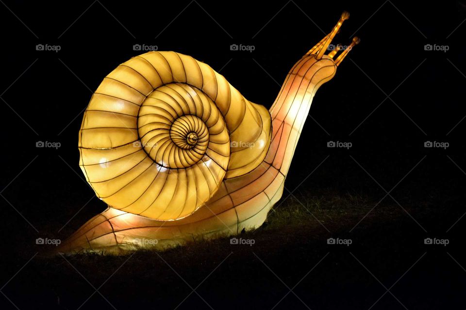 Snail Lantern