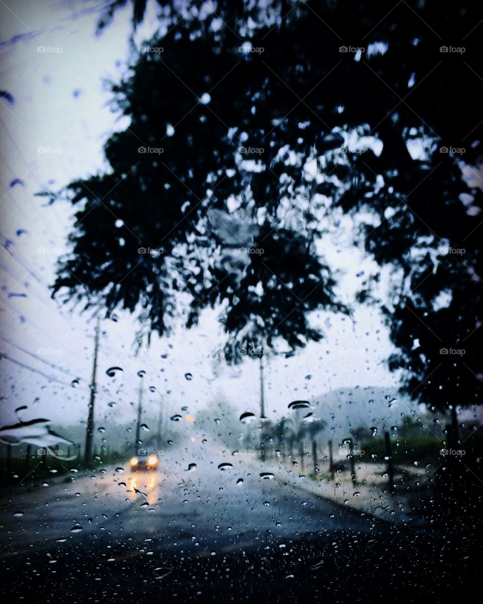 Coitado do cidadão que está a pé... 13h e virou um #vendaval, depois uma #chuvarada e agora está uma loucura a avenida, com #galhos e #poças de aquaplanagem. 
☔️ 
#chuva #temporal #paisagem #Jundiaí