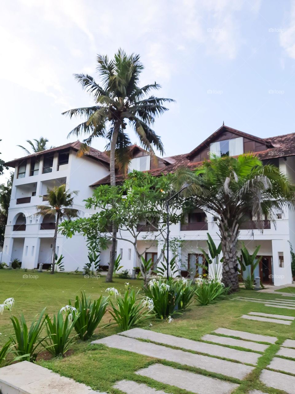 Building- Architecture