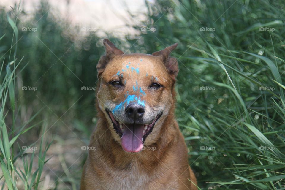 Blue mask 