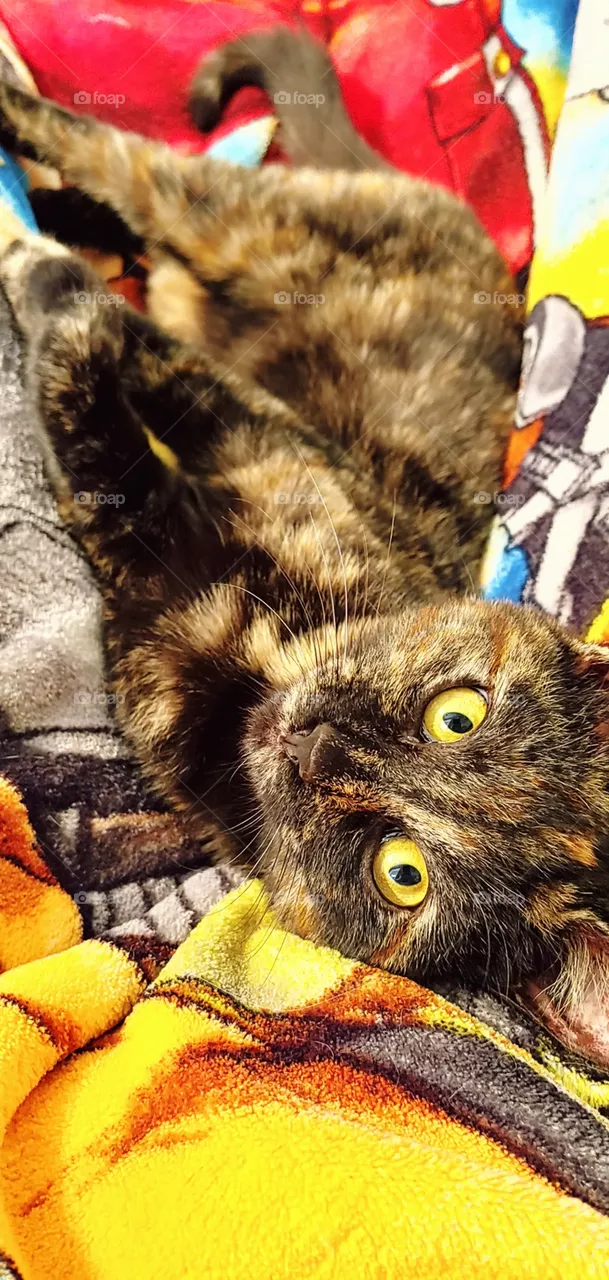 💛