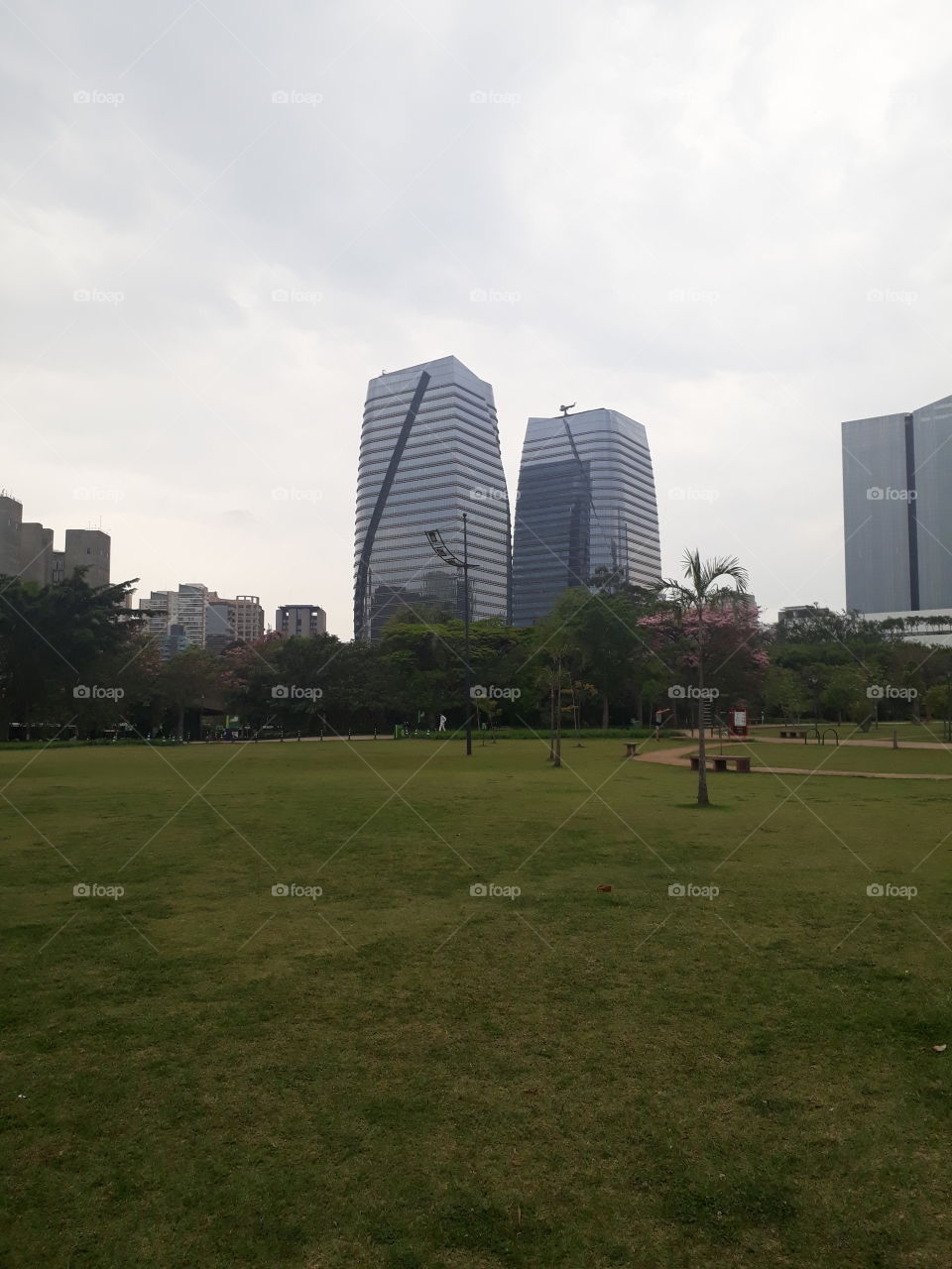 there's green in Sao Paulo