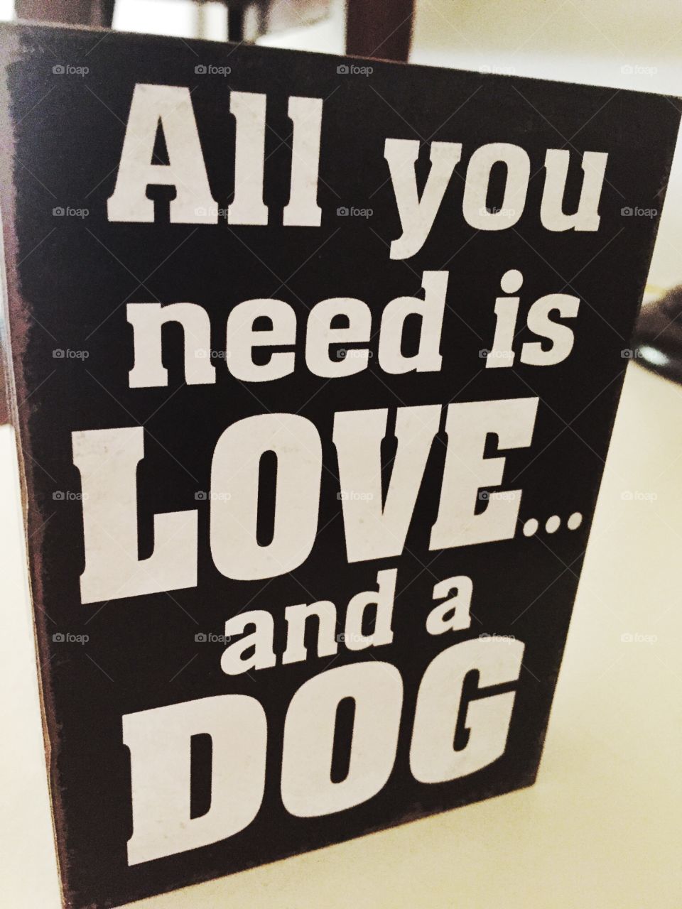 All You Need. All you need is love and a dog