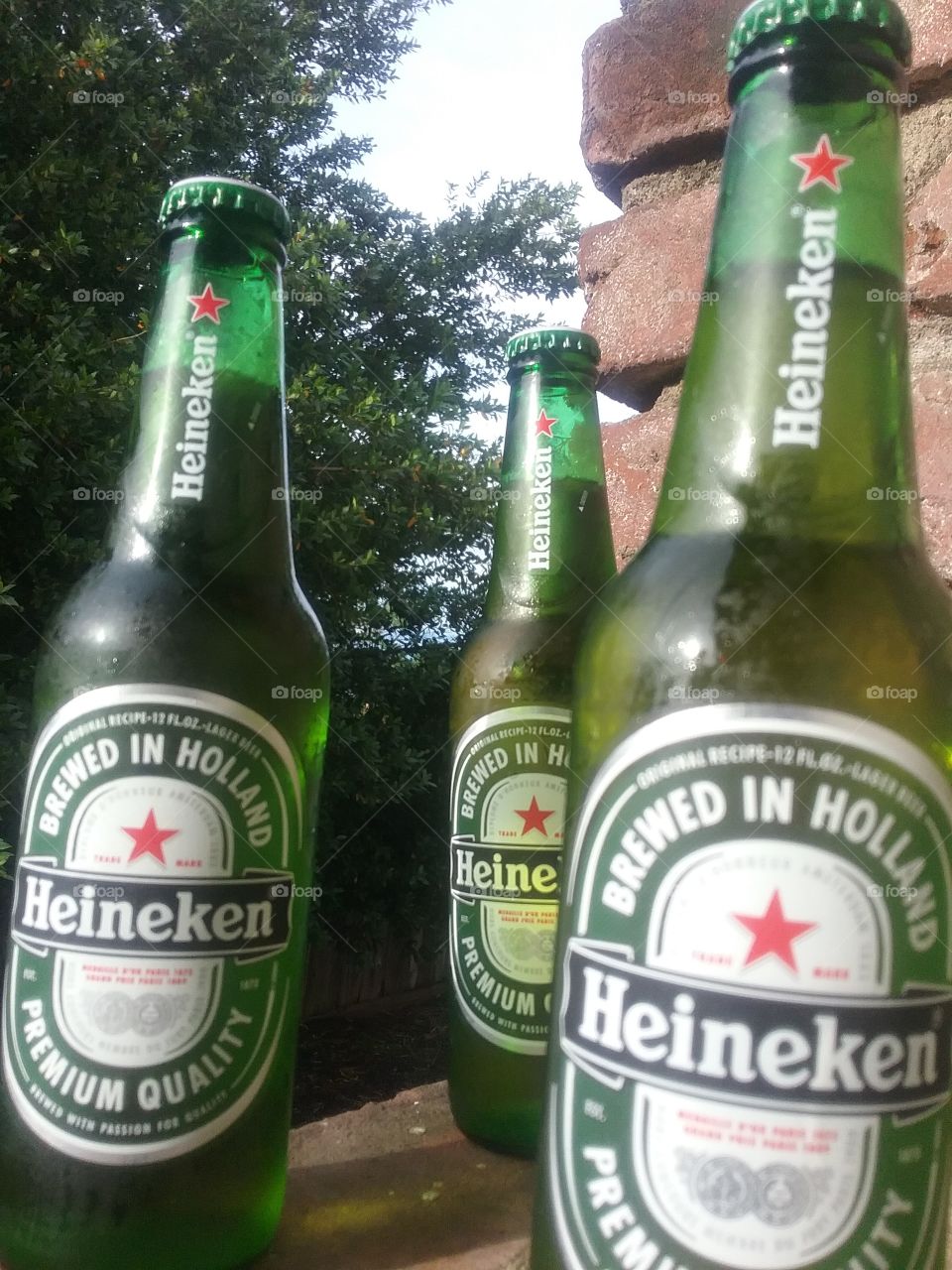 Heineken beer premium quality