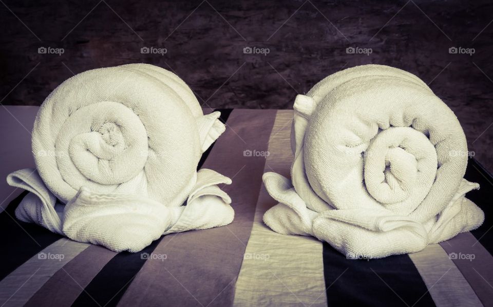 towel snail