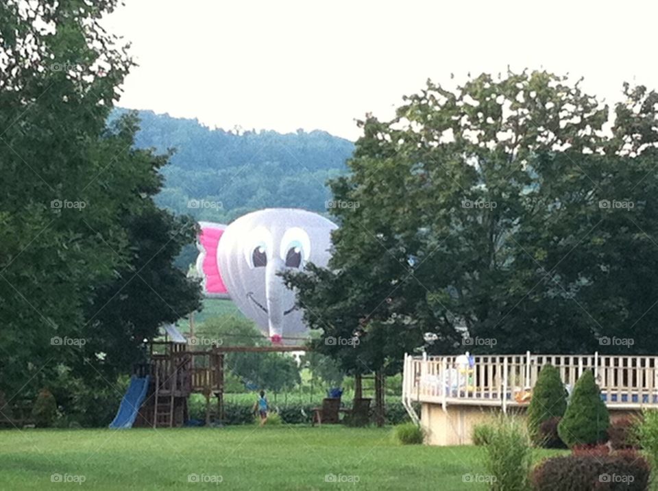 Elephant Balloon