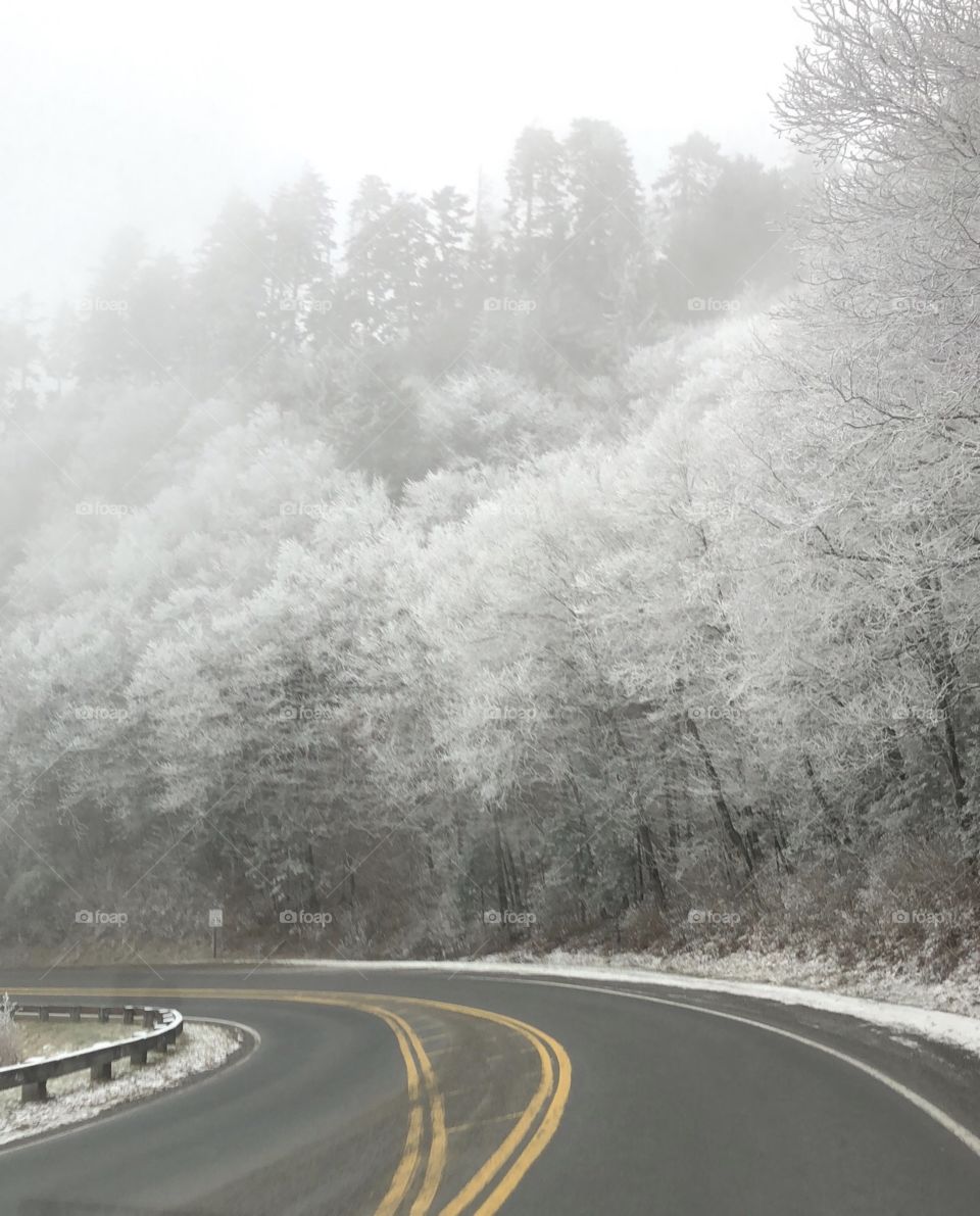 Snowy landscape & Winter Road in Smokey Mountains 