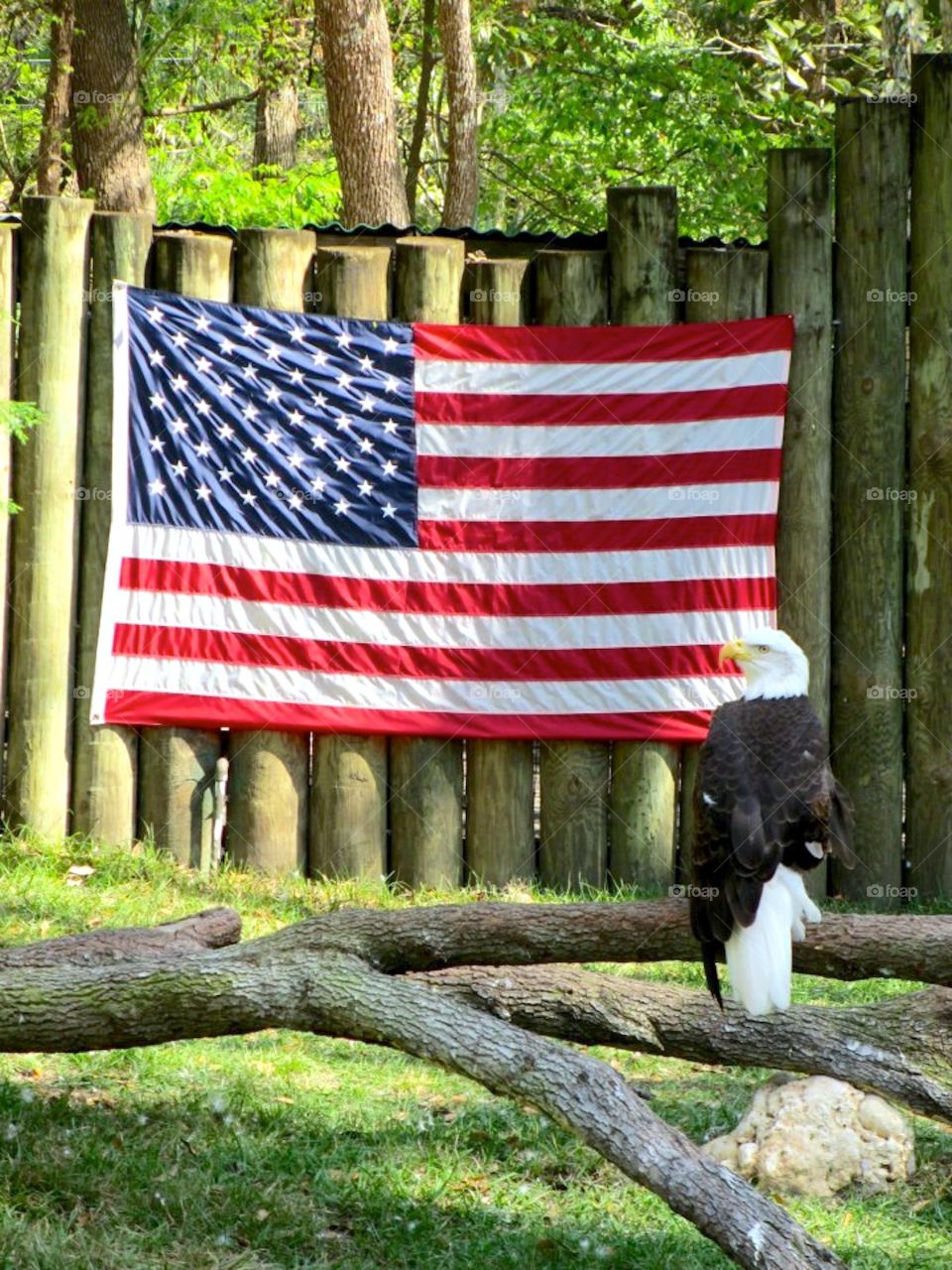 favorite flags