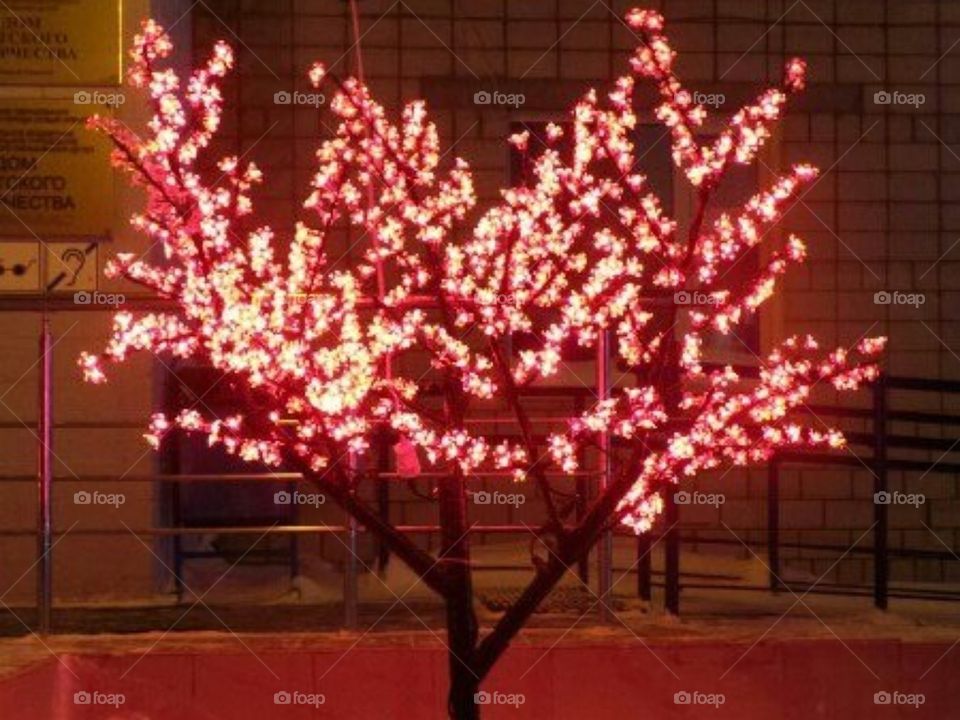 Красивый зимний вечер