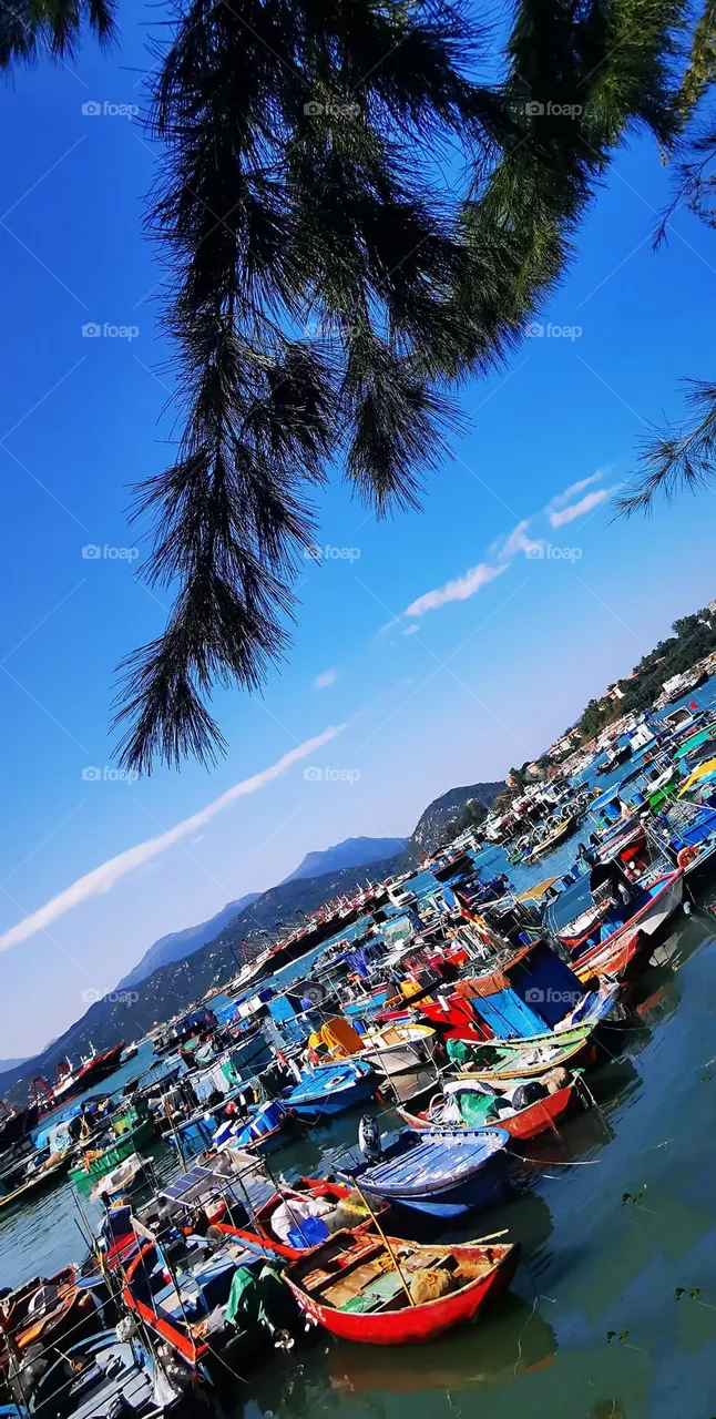 Boats