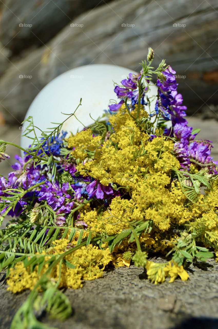Beautiful wild and meadow flowers are a multi-faceted colorful gift of Mother Nature