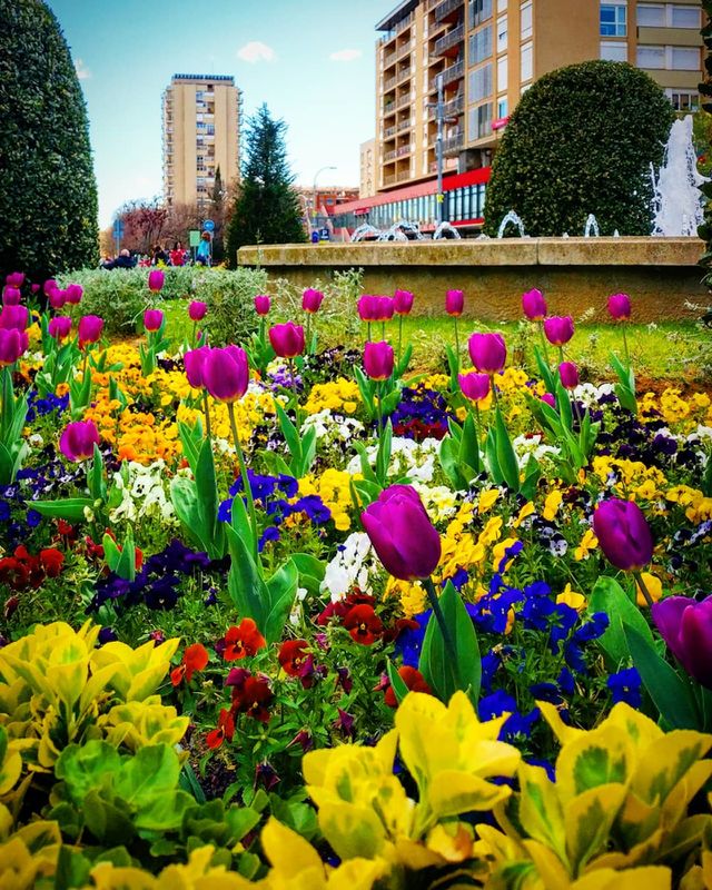 Colorful shot