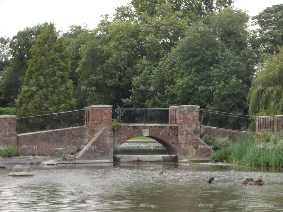 Bridge Over A Lake