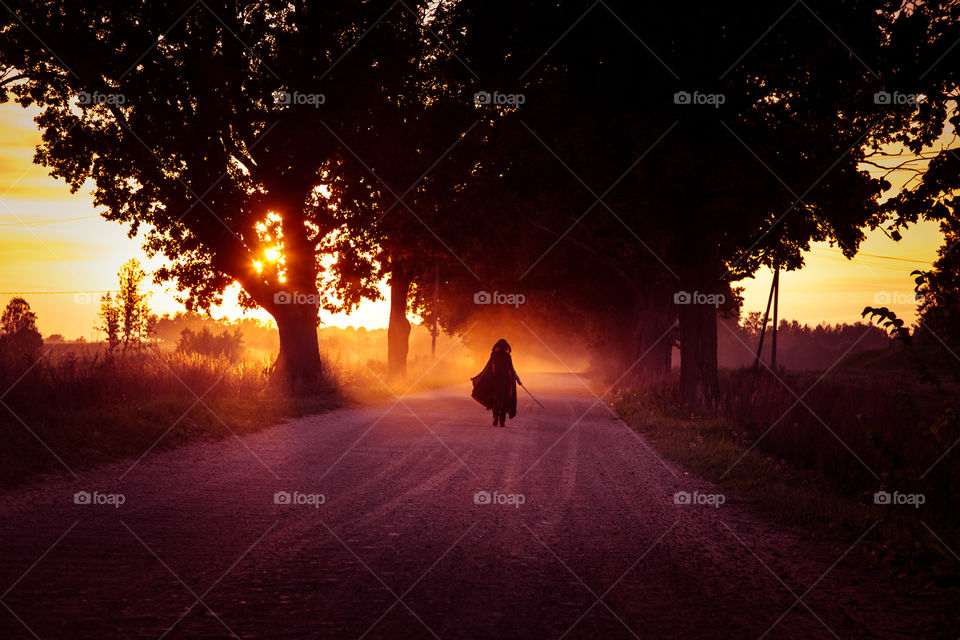 Sunset, Tree, Dawn, Silhouette, Landscape