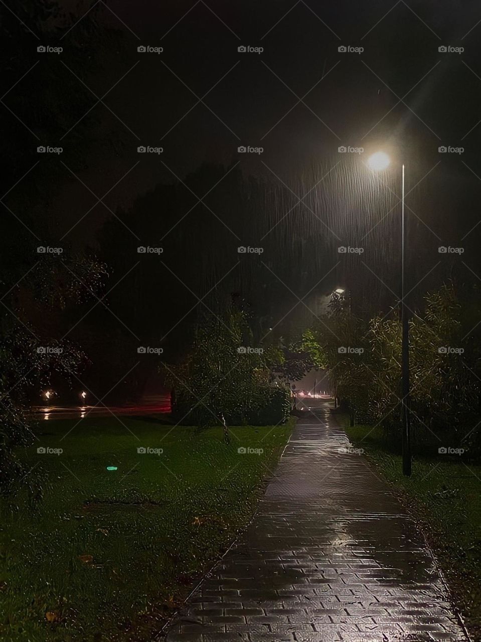 rain and night