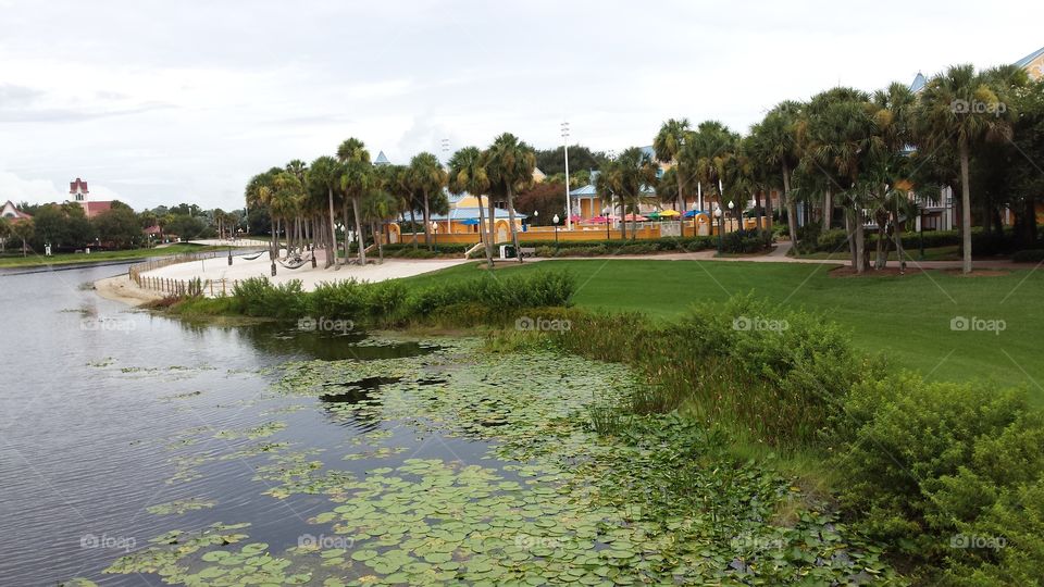 Florida Resort's Lagoon