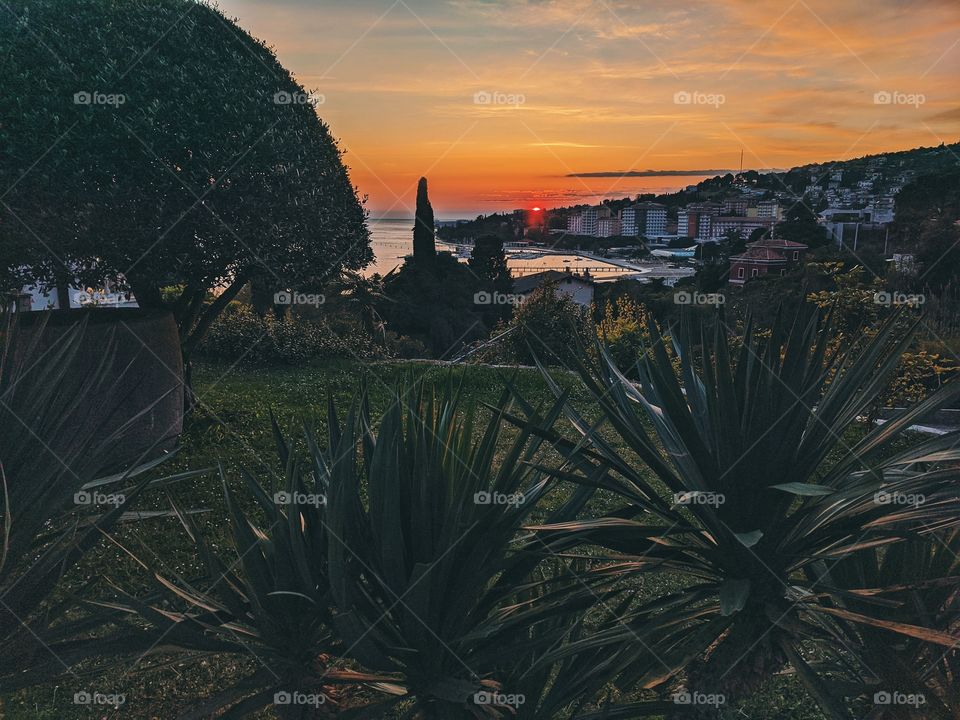 Background of the beautiful red sunset sky at the Adriatic seaside against palms trees.
