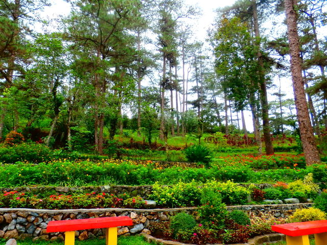 Park