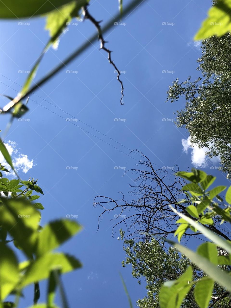 Вид с земли