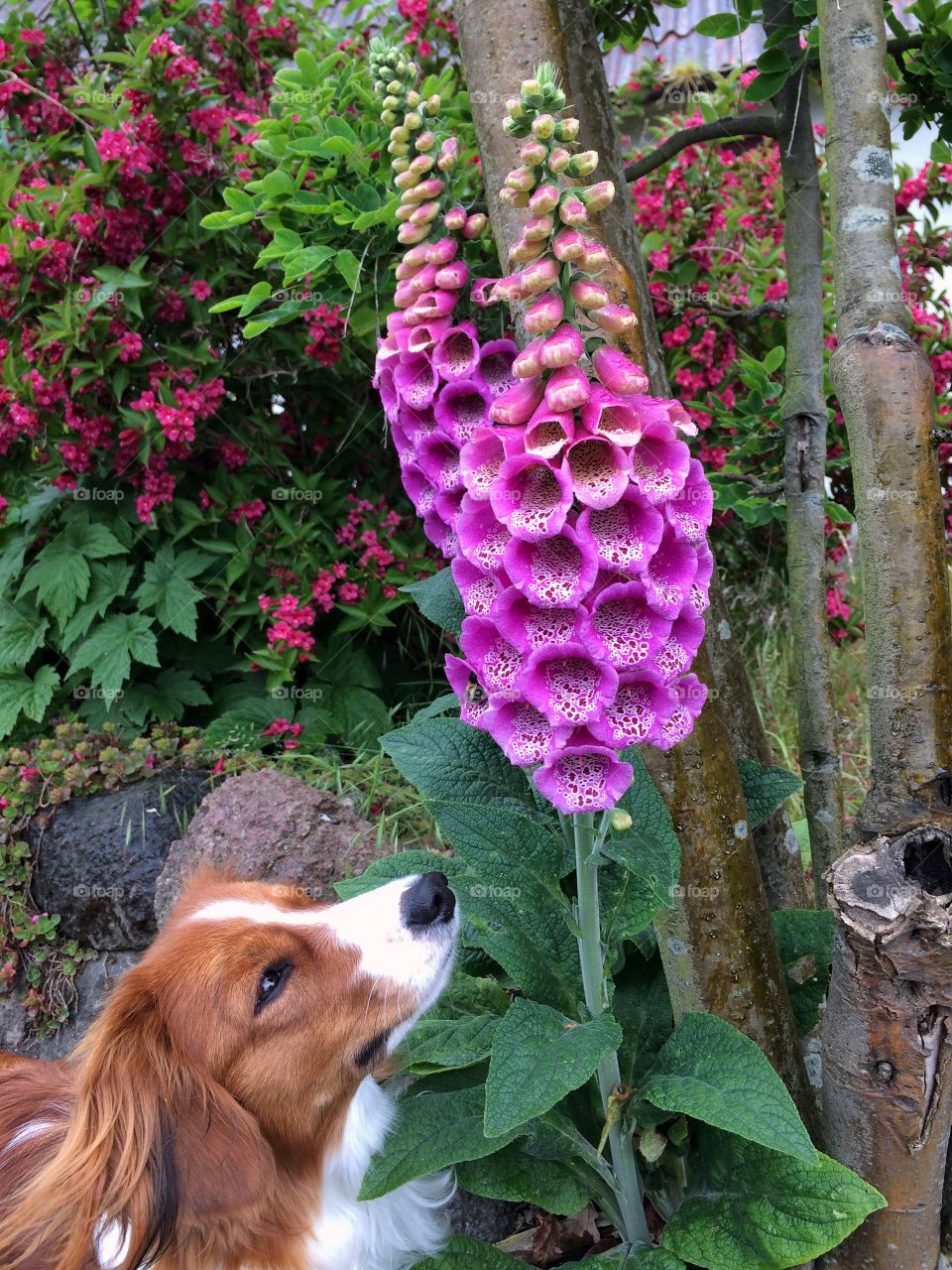 Checking out a Bumblebee 