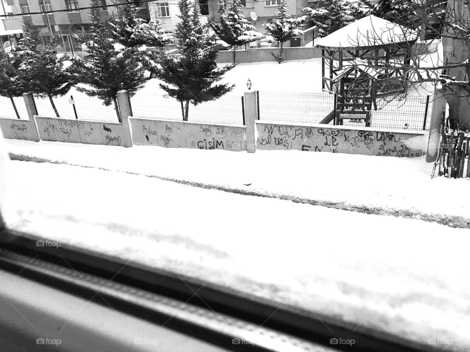 Winter, Snow, Monochrome, No Person, People