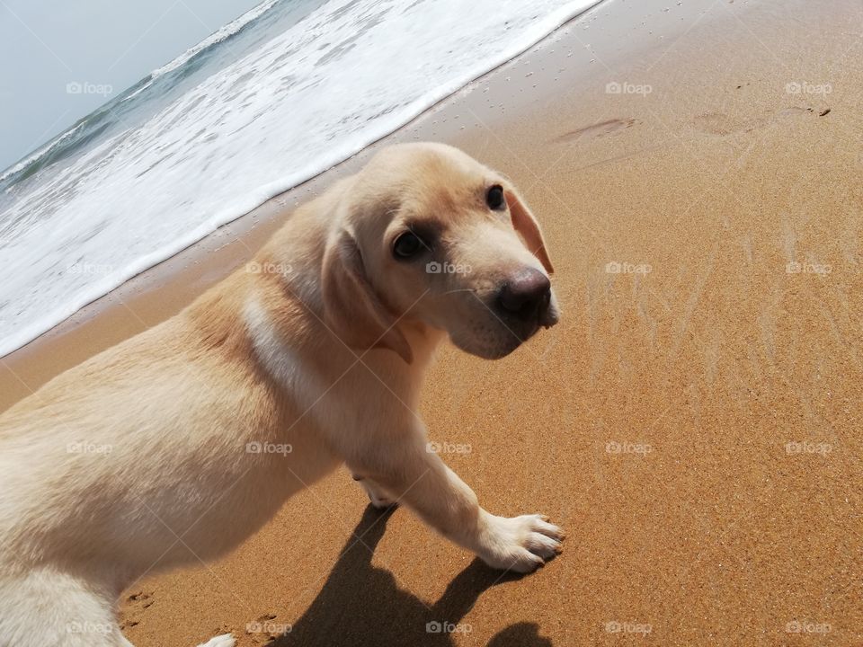 First beach day is the best beach day
