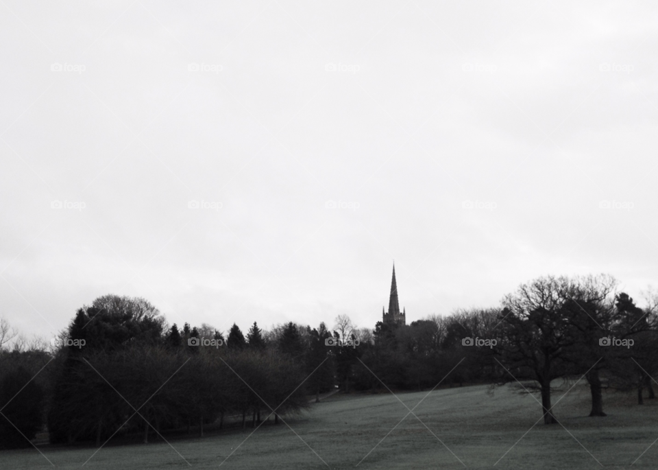 trees park church birmingham by karlbinder