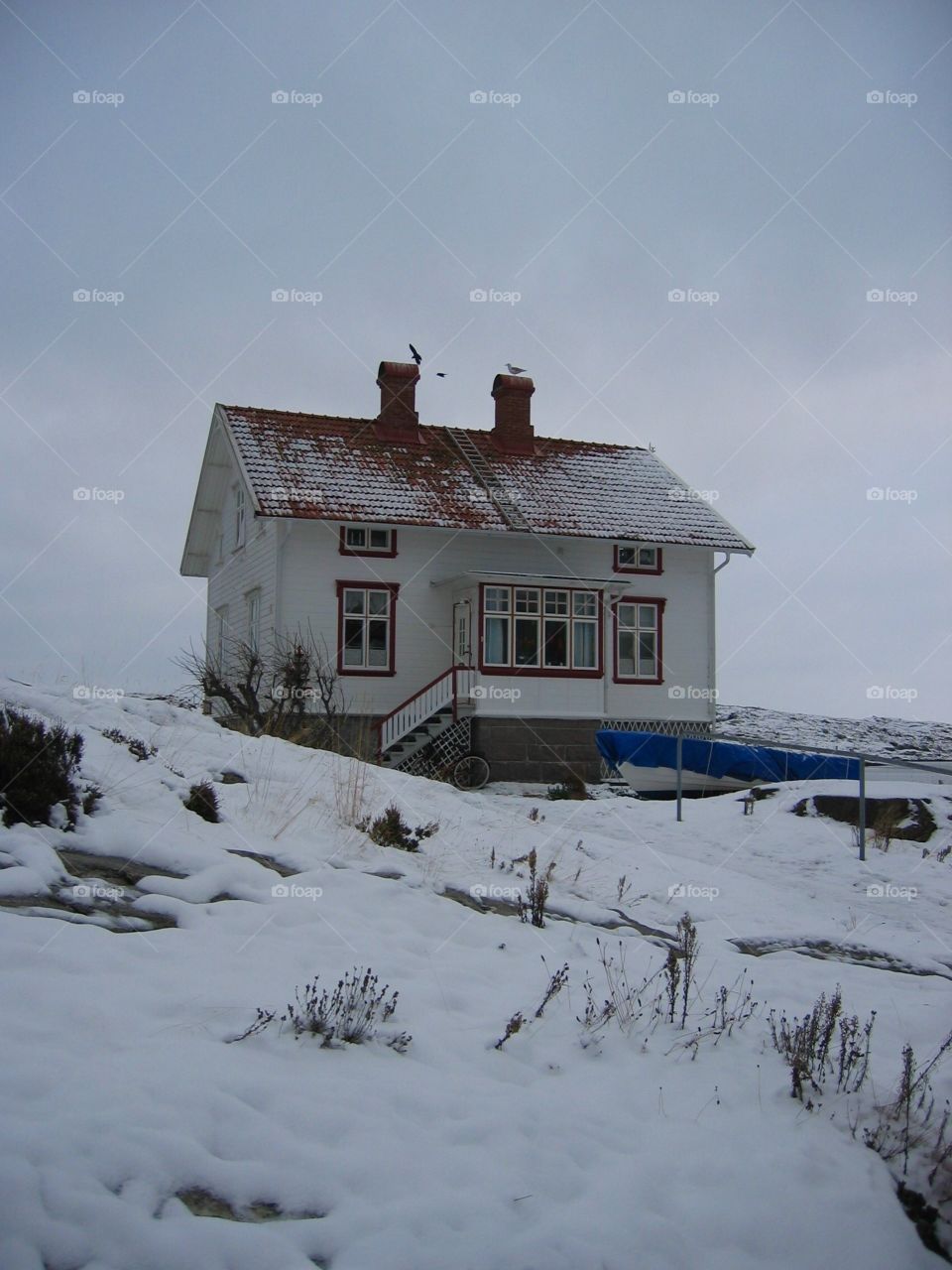 House covered in snow
