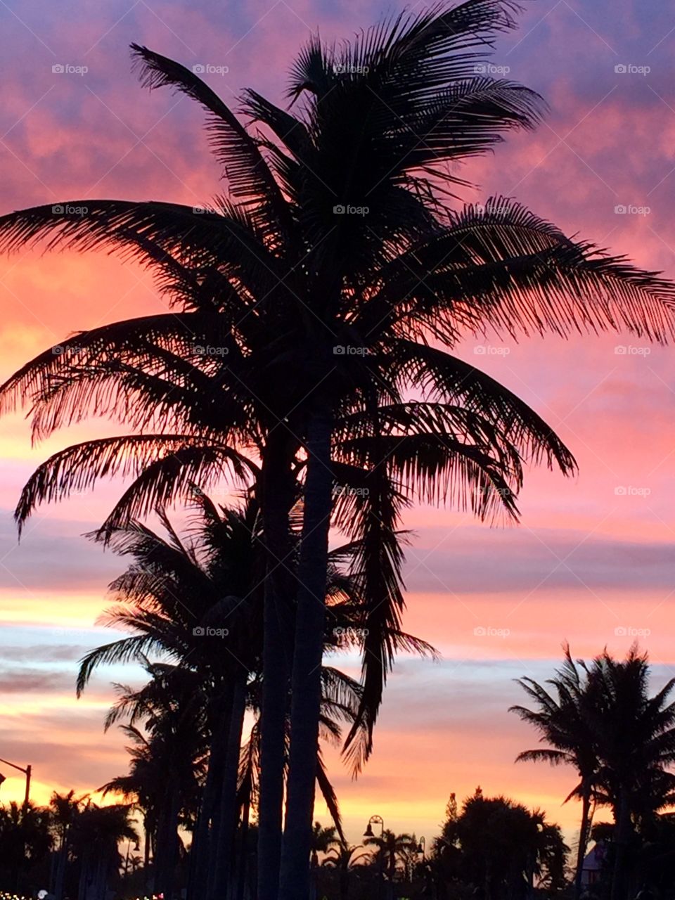 Rainbow Colored Sky