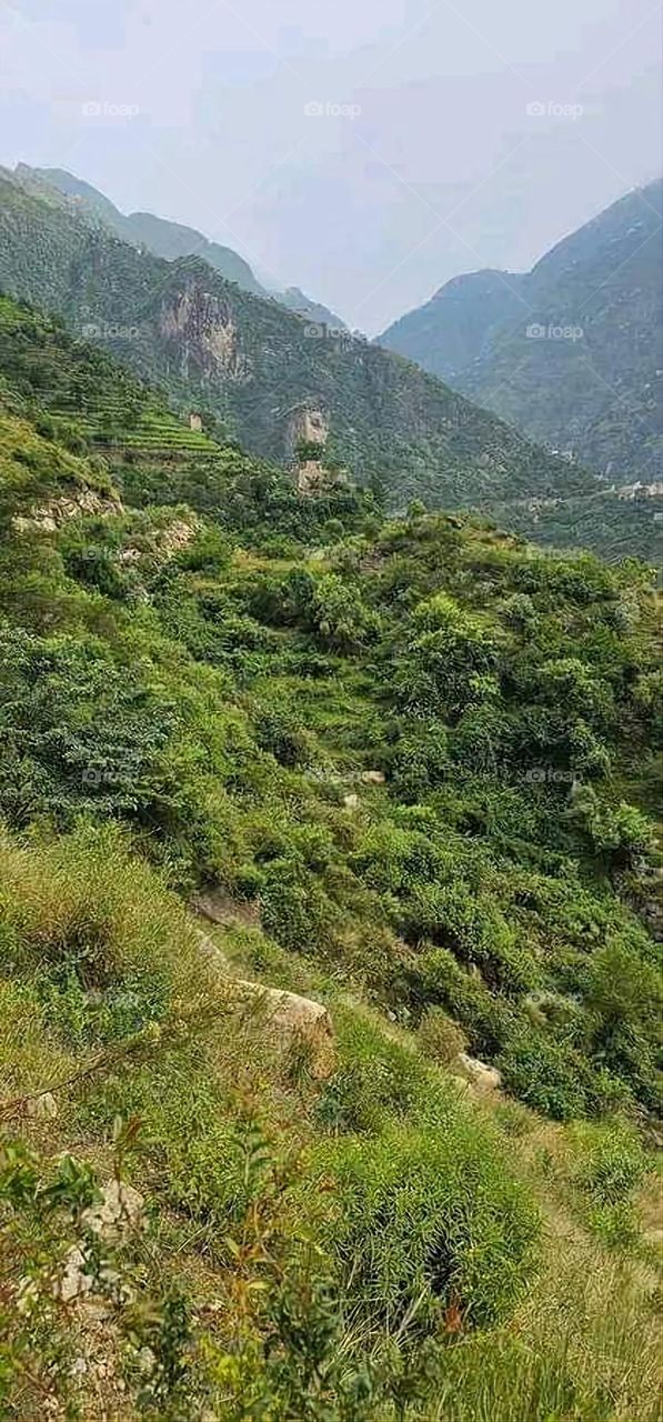 Glory be to God, the magnificent and picturesque view and the natural green trees are a view that is nothing more wonderful than it