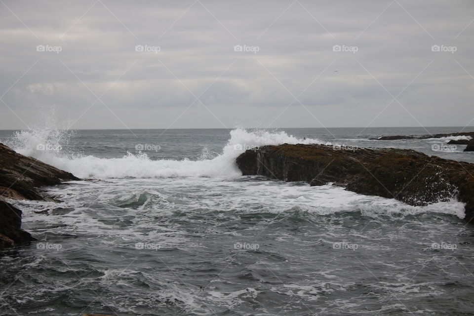 Foggy rocks