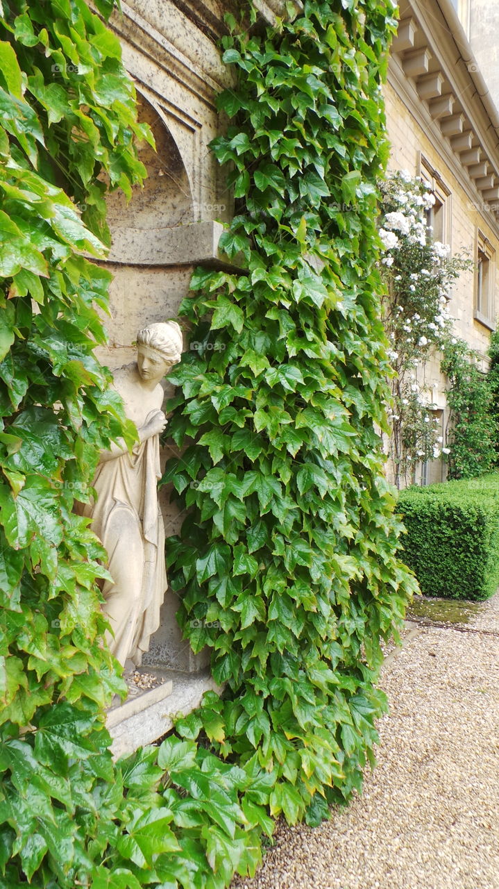 stately homes / belton house sculpture with ivy