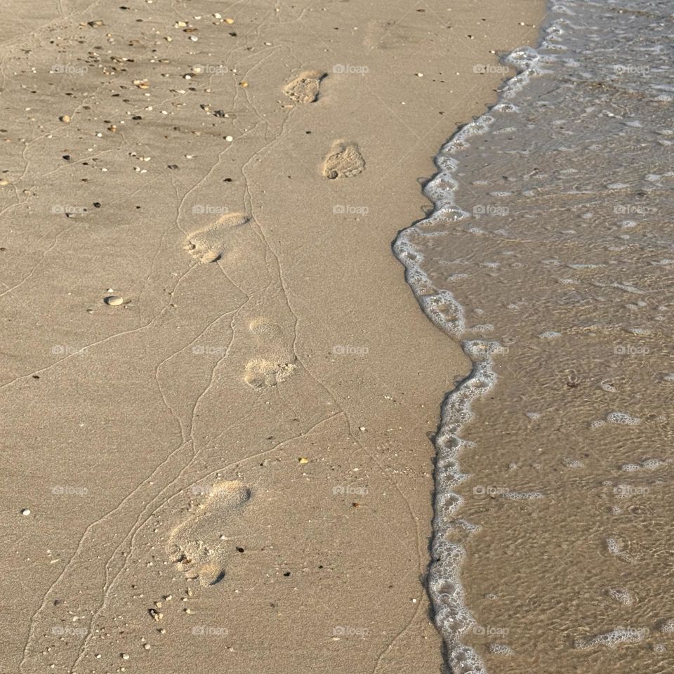Footprints in the Sand