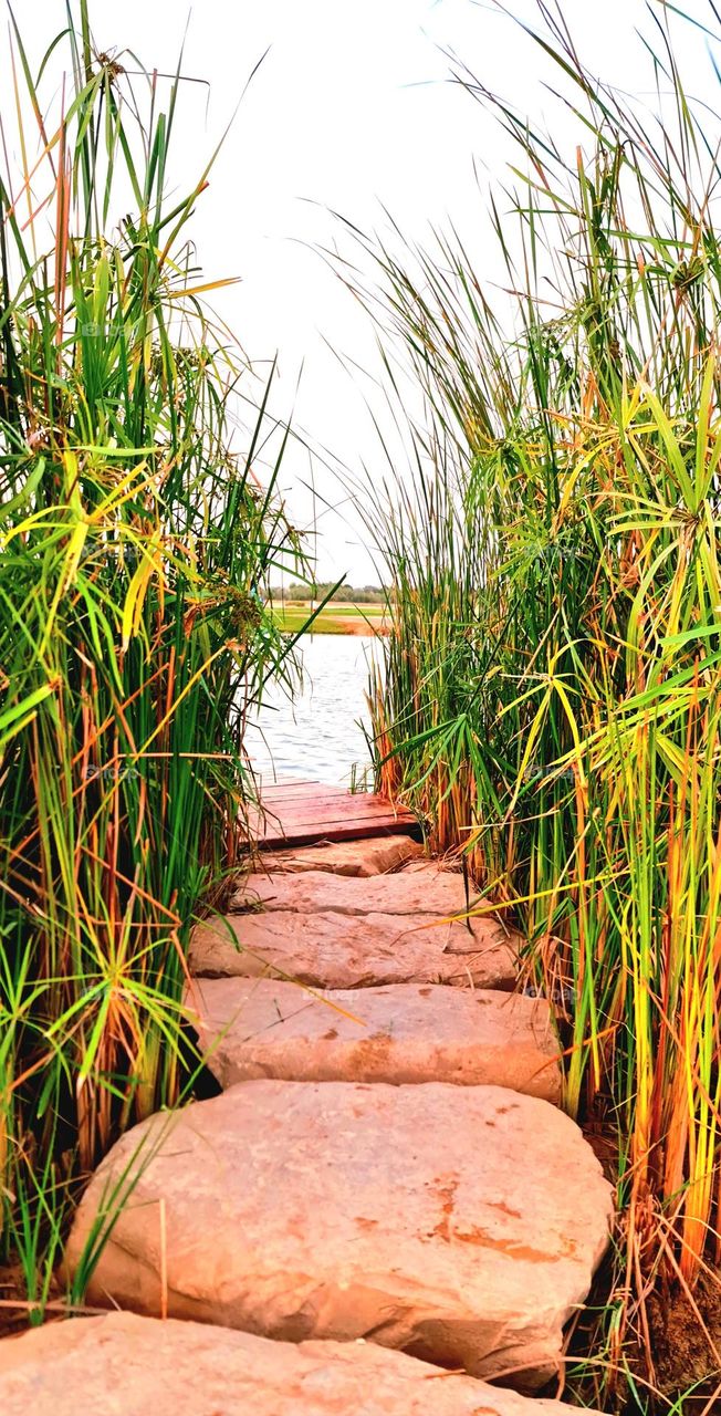 "On earth, there is no heaven, but there are pieces of it." it's called Nature...