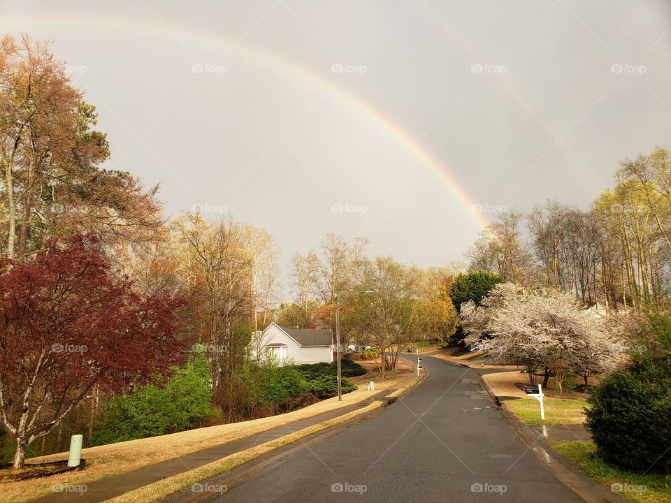 Double rainbow and cherry blossoms